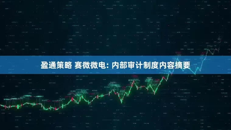 盈通策略 赛微微电: 内部审计制度内容摘要