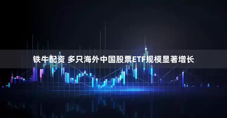 铁牛配资 多只海外中国股票ETF规模显著增长