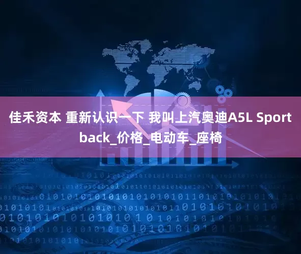 佳禾资本 重新认识一下 我叫上汽奥迪A5L Sportback_价格_电动车_座椅