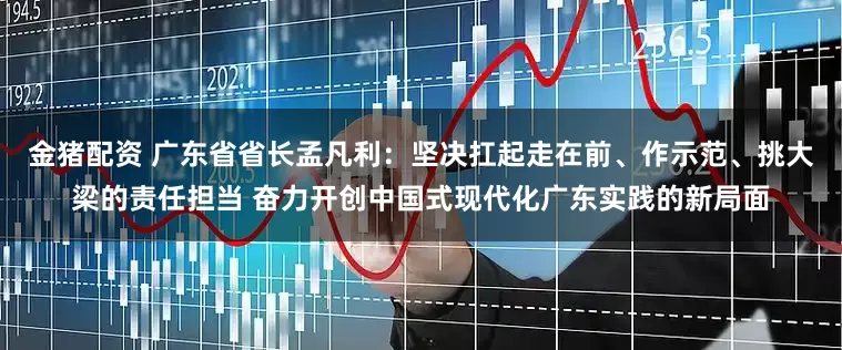 金猪配资 广东省省长孟凡利：坚决扛起走在前、作示范、挑大梁的责任担当 奋力开创中国式现代化广东实践的新局面