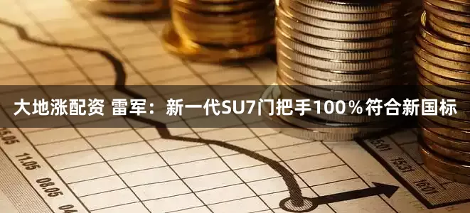 大地涨配资 雷军：新一代SU7门把手100％符合新国标