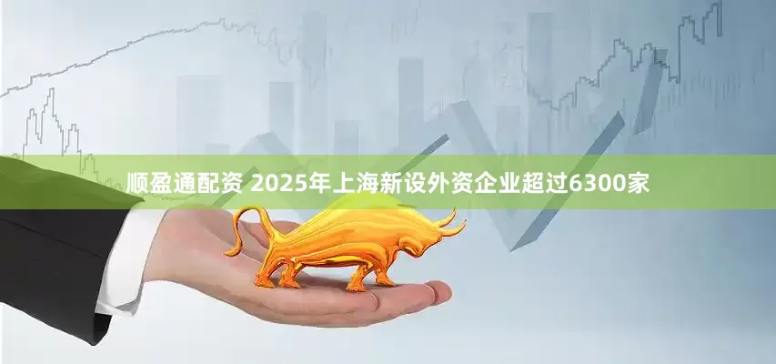 顺盈通配资 2025年上海新设外资企业超过6300家